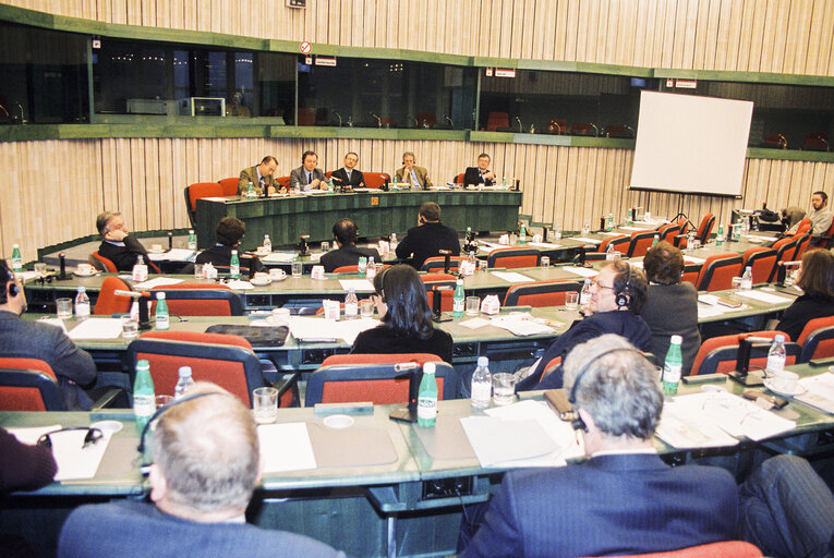 Fotografia 4: Committee meeting in Strasbourg