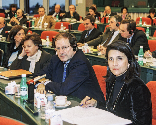 Fotografia 5: Committee meeting in Strasbourg