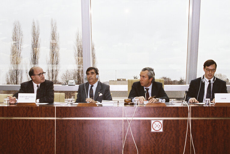 Fotografia 7: Bullfighting intergroup meeting in Strasbourg