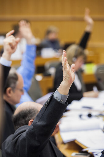 Valokuva 11: Members voting during the AFCO Committee meeting.