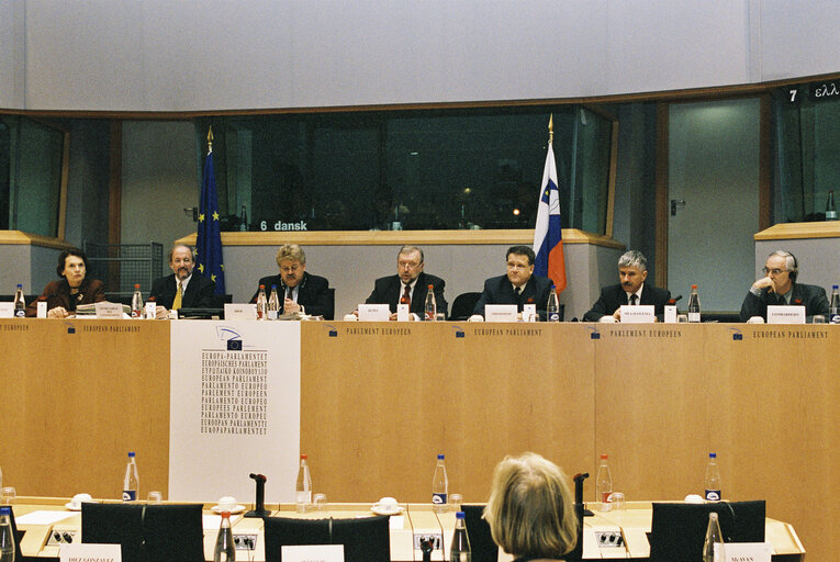 Fotografie 3: AFET Committee - Exchange of views with the Foreign Minister and chief negotiator of Slovenia