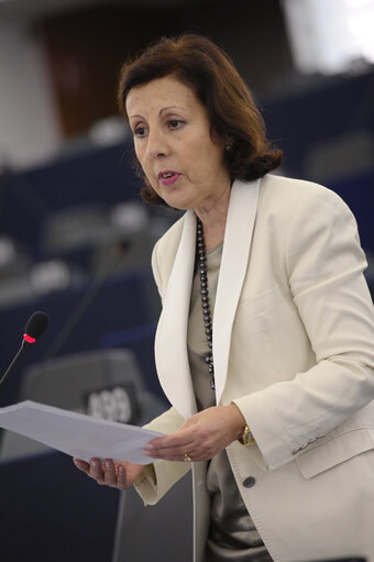 Fotagrafa 26: Plenary session week 43 2013 in Strasbourg - Climate change conference