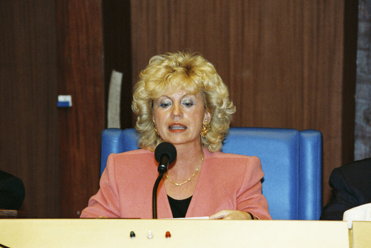 Foto 21: Plenary session in Strasbourg