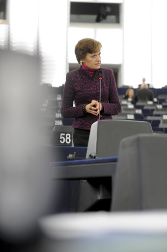 Zdjęcie 20: Plenary session week 43 2013 in Strasbourg - Preparations for the European Council meeting (24-25 October 2013)  Council and Commission statements