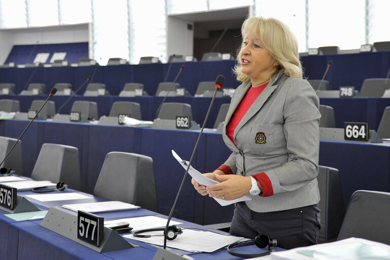 Billede 7: Mep during plenary session week 43 2013 in Strasbourg