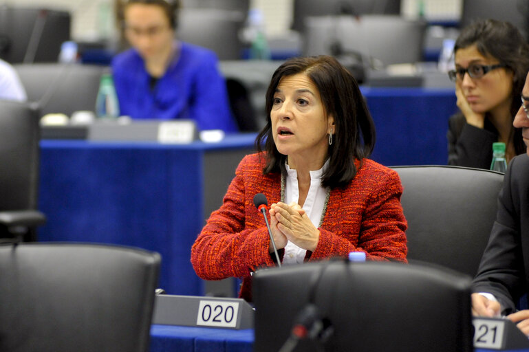 Photo 6 : Intergroup National minorities and regional languages