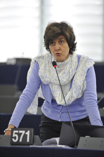 Billede 8: Plenary session week 43 2013 in Strasbourg