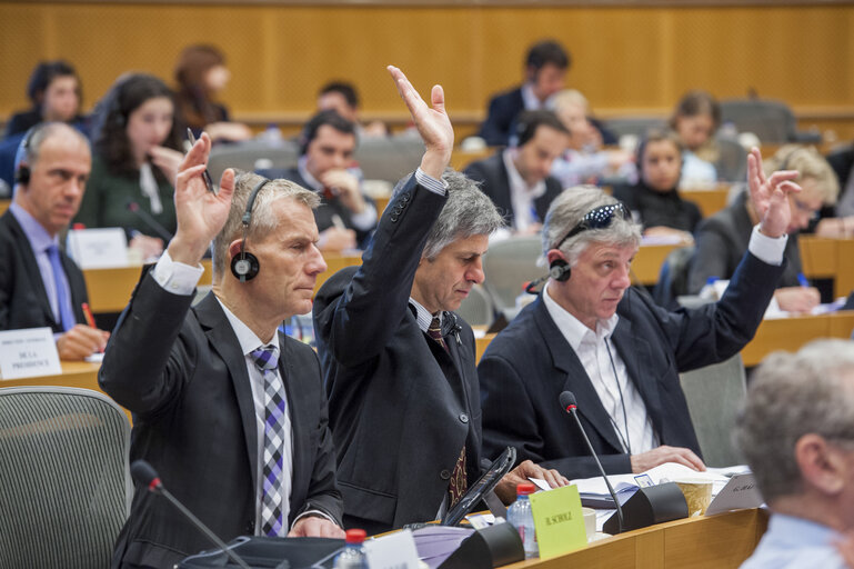 Valokuva 5: Members voting during the AFCO Committee meeting.