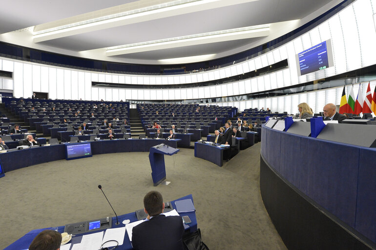 Fotografie 4: Preparations for the European Council meeting (24-25 October 2013)  Council and Commission statements during plenary session week 43 2013 in Strasbourg