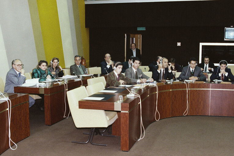 Fotografia 6: Bullfighting intergroup meeting in Strasbourg