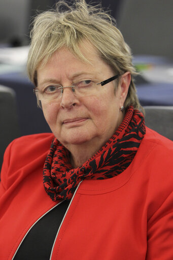 Fotografia 3: Mep during plenary session week 43 2013 in Strasbourg.