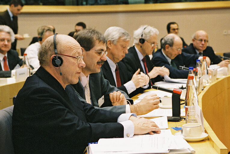 Foto 2: ECON Committee - Public hearing on Supplementary Pensions