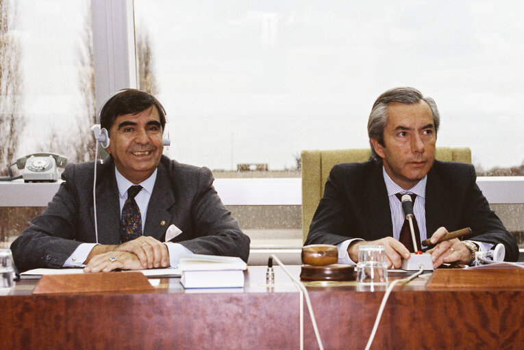 Fotografia 5: Bullfighting intergroup meeting in Strasbourg