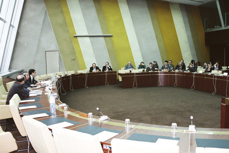 Fotografia 3: Bullfighting intergroup meeting in Strasbourg