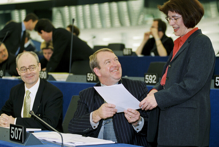 Fotografi 3: MEP Renate SOMMER in plenary session in Strasbourg