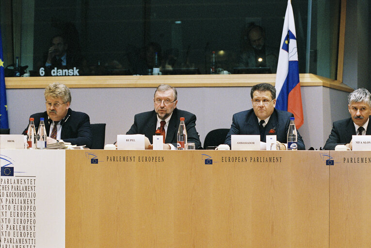 Fotografie 4: AFET Committee - Exchange of views with the Foreign Minister and chief negotiator of Slovenia