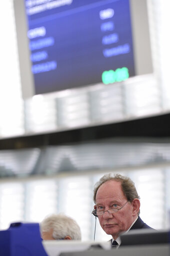 Fotagrafa 43: Plenary session week 43 2013 in Strasbourg - EU trade policy towards countries of the Eastern Partnership