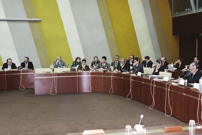 Fotografia 1: Bullfighting intergroup meeting in Strasbourg