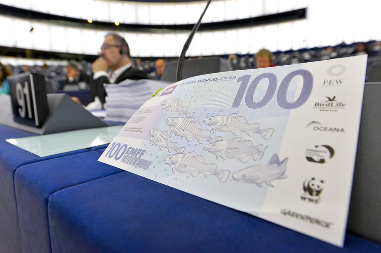 Fotografie 5: Preparations for the European Council meeting (24-25 October 2013)  Council and Commission statements during plenary session week 43 2013 in Strasbourg