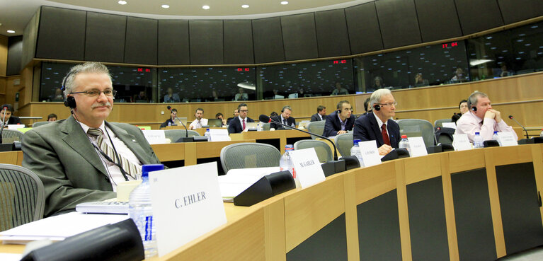 Fotografie 4: Subcommittee on Security and Defence. Discussion with  the minister of Defence of Lithuania