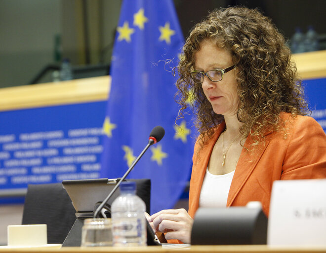 Foto 5: LIBE committee meeting