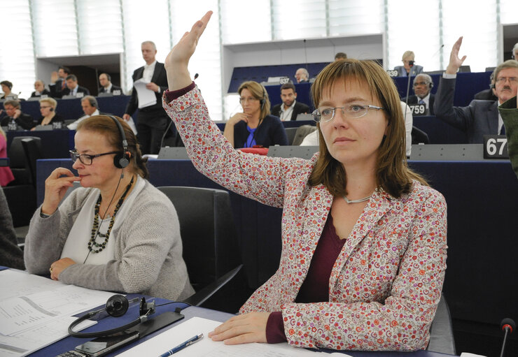 Foto 1: Sidonia JEDRZEJEWSKA during Plenary session week 41 2013 in Strasbourg