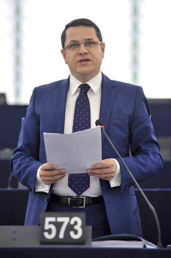 Eduard-Raul HELLVIG in plenary session week 41 2013 in Strasbourg