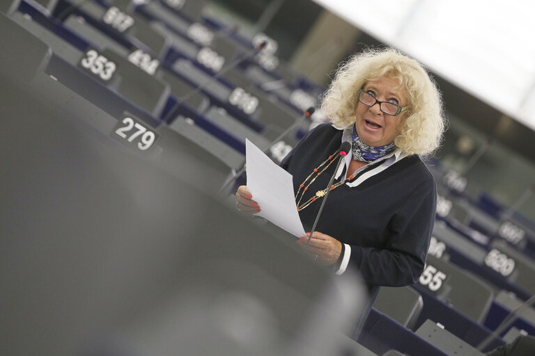 Fotografie 16: Plenary session week 37 2013 in Strasbourg - Making the internal energy market work