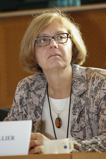 Foto 4: STOA committee meeting