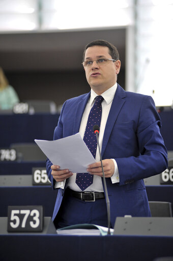 Eduard-Raul HELLVIG in plenary session week 41 2013 in Strasbourg