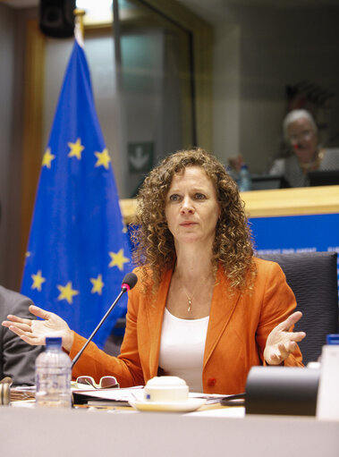 Foto 14: LIBE Committee inquiry. Electronic mass surveillance of EU citizens.