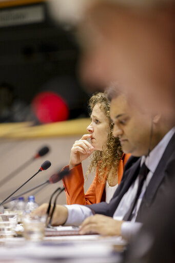 Foto 8: LIBE Committee inquiry. Electronic mass surveillance of EU citizens.