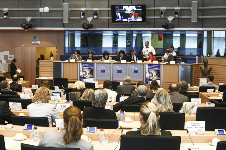 Fotografia 10: DROI Interparliamentary Committee Meeting with National Parliaments:  Implementation of the EU Strategic framework and action plan on human rights and internal-external coherence of EU policies