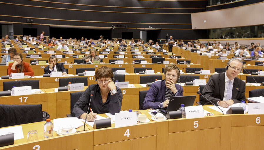 LIBE Committee inquiry. Electronic mass surveillance of EU citizens.