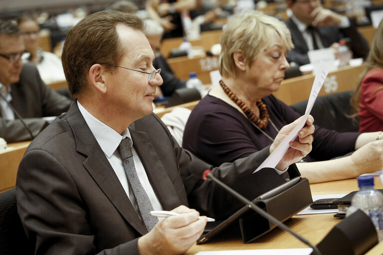 Zdjęcie 6: AFET committee meeting  Sakharov prize 2013 - shortlist of 3 candidates.