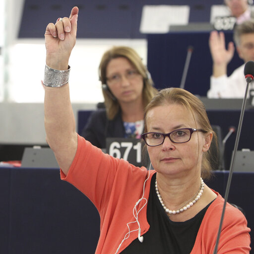 Fotografia 1: Danuta JAZLOWIECKA in plenary in Strasbourg, week 37 2013