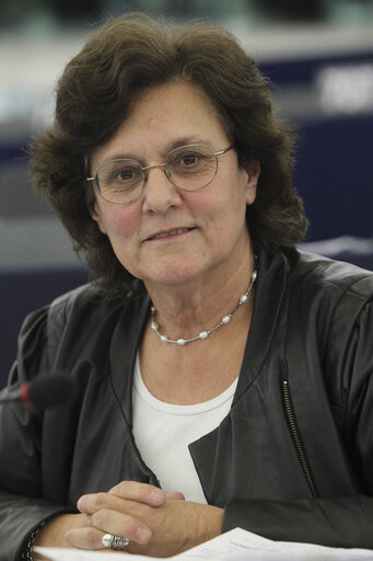 Foto 4: Plenary session week 41 2013 in Strasbourg - Situation of the Roma people  Council and Commission statements