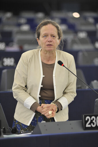 Plenary session week 43 2013 in Strasbourg