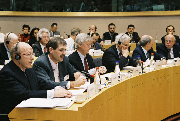 Foto 3: ECON Committee - Public hearing on Supplementary Pensions