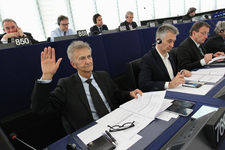 Tadeusz Edward ROSS during the plenary session