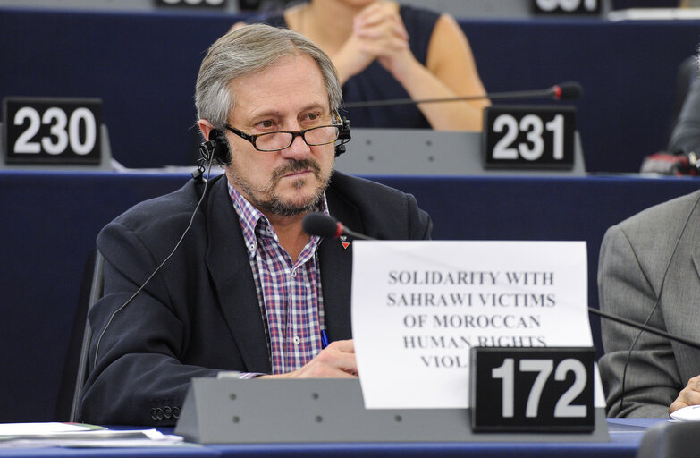 Снимка 1: plenary session week 43 2013 - demonstration : solidarity with Sahrawi victims of Maroccan human rights violation