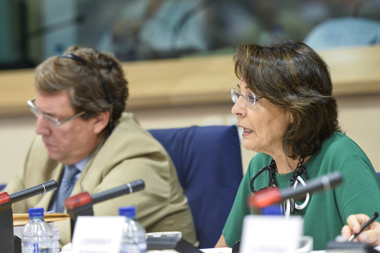 Fotografia 8: PECH - Exchange of views with Commissioner in charge of Maritime Affairs and Fisheries