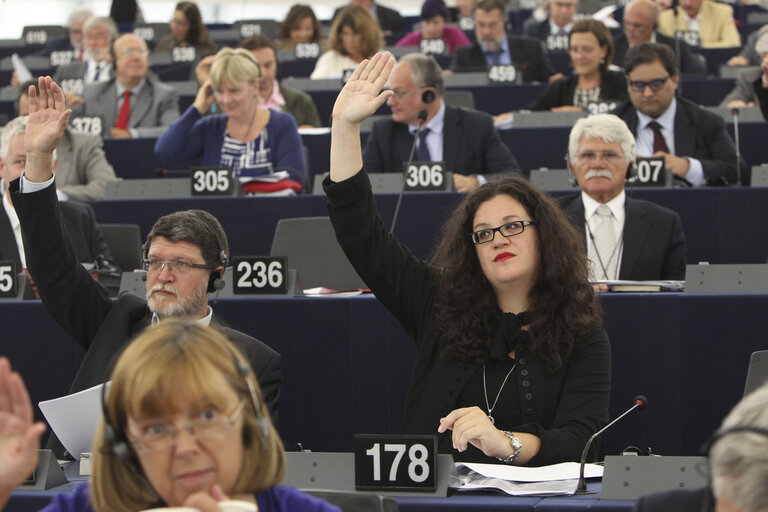 Fotó 1: Mojca KLEVA KEKUS in plenary in Strasbourg, week 37 2013