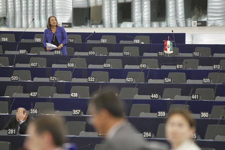 Fotografie 32: Plenary session week 37 2013 in Strasbourg - More efficient and cost-effective interpretation in the European Parliament