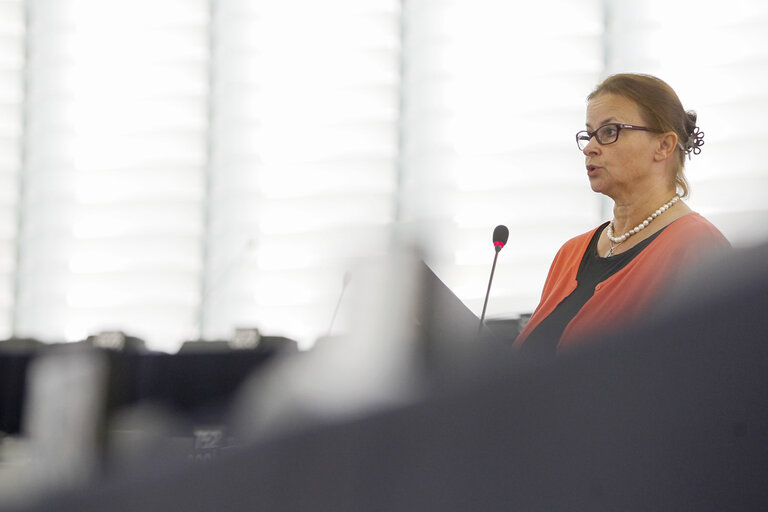 Fotografie 14: Plenary session week 37 2013 in Strasbourg - Making the internal energy market work