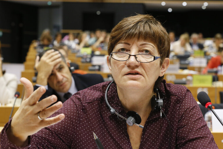 Photo 14: LIBE committee meeting. Inquiry on Electronic Mass Surveillance of EU Citizens