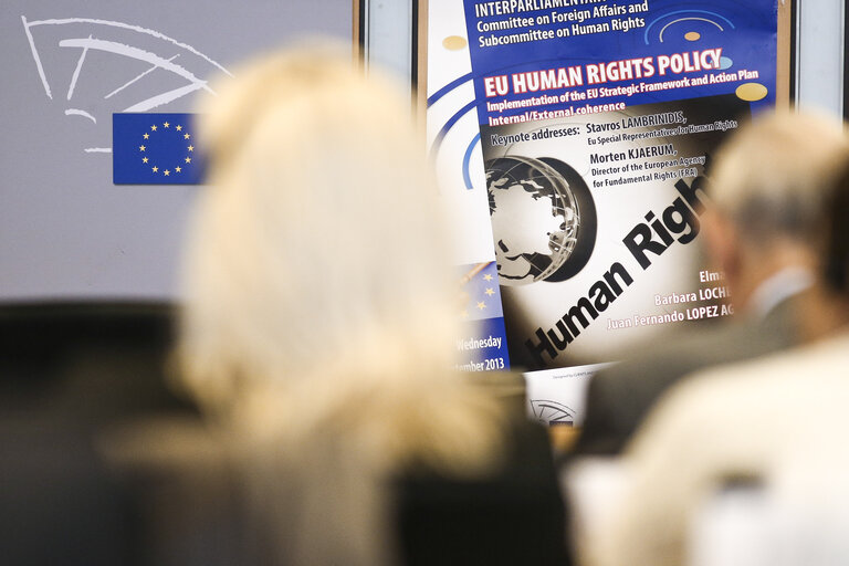 Fotografia 11: DROI Interparliamentary Committee Meeting with National Parliaments:  Implementation of the EU Strategic framework and action plan on human rights and internal-external coherence of EU policies