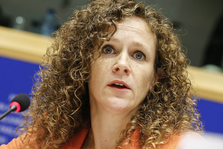 Photo 17: LIBE committee meeting. Inquiry on Electronic Mass Surveillance of EU Citizens