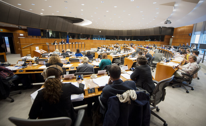 Foto 6: Committee on Petitions Monthly Meeting