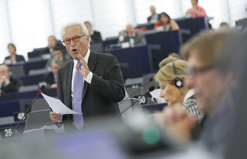 plenary session week 37 2013 - Situation in Syria